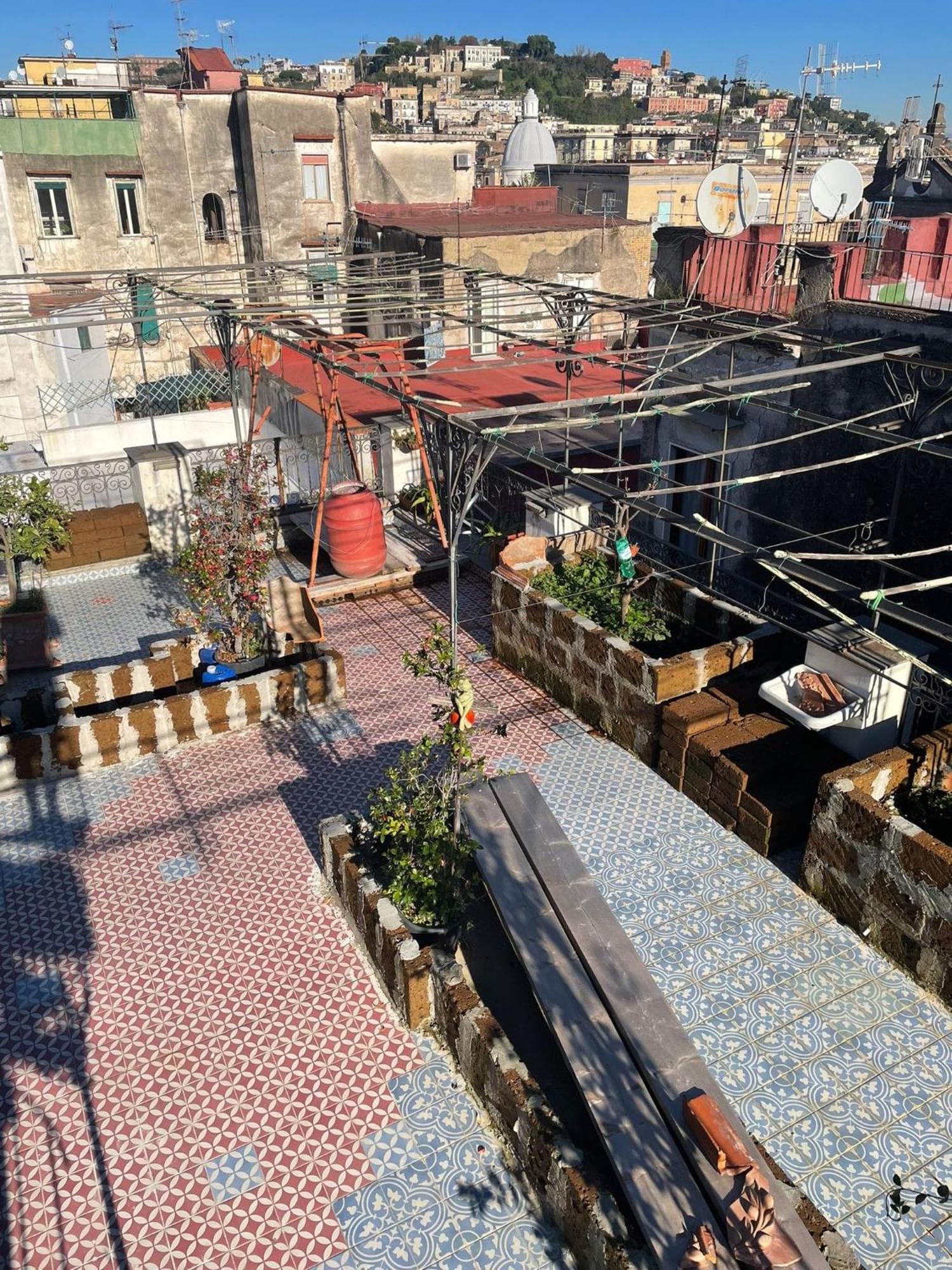 Apartment Lemon Tree Terrace Naples