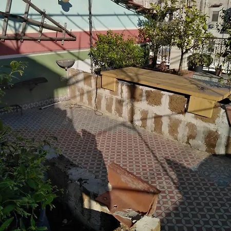 Lemon Tree Terrace Apartment Naples Exterior photo